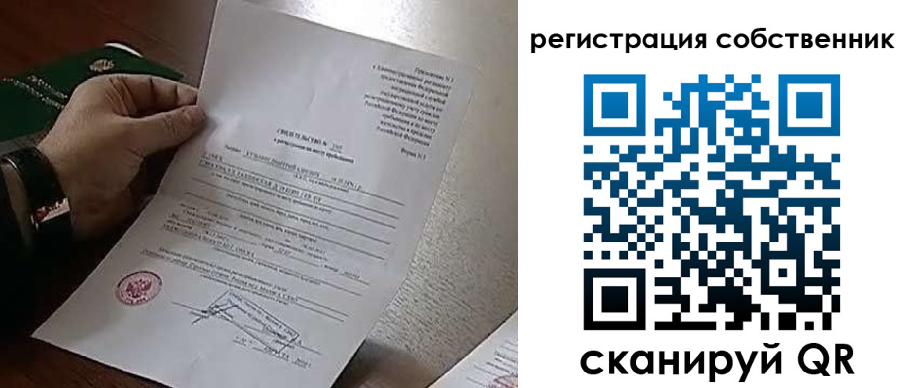 прописка 2025 в Электрогорске
